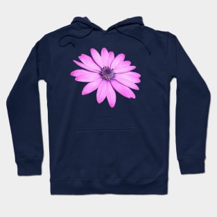 Single Pink African Daisy Isolated Hoodie